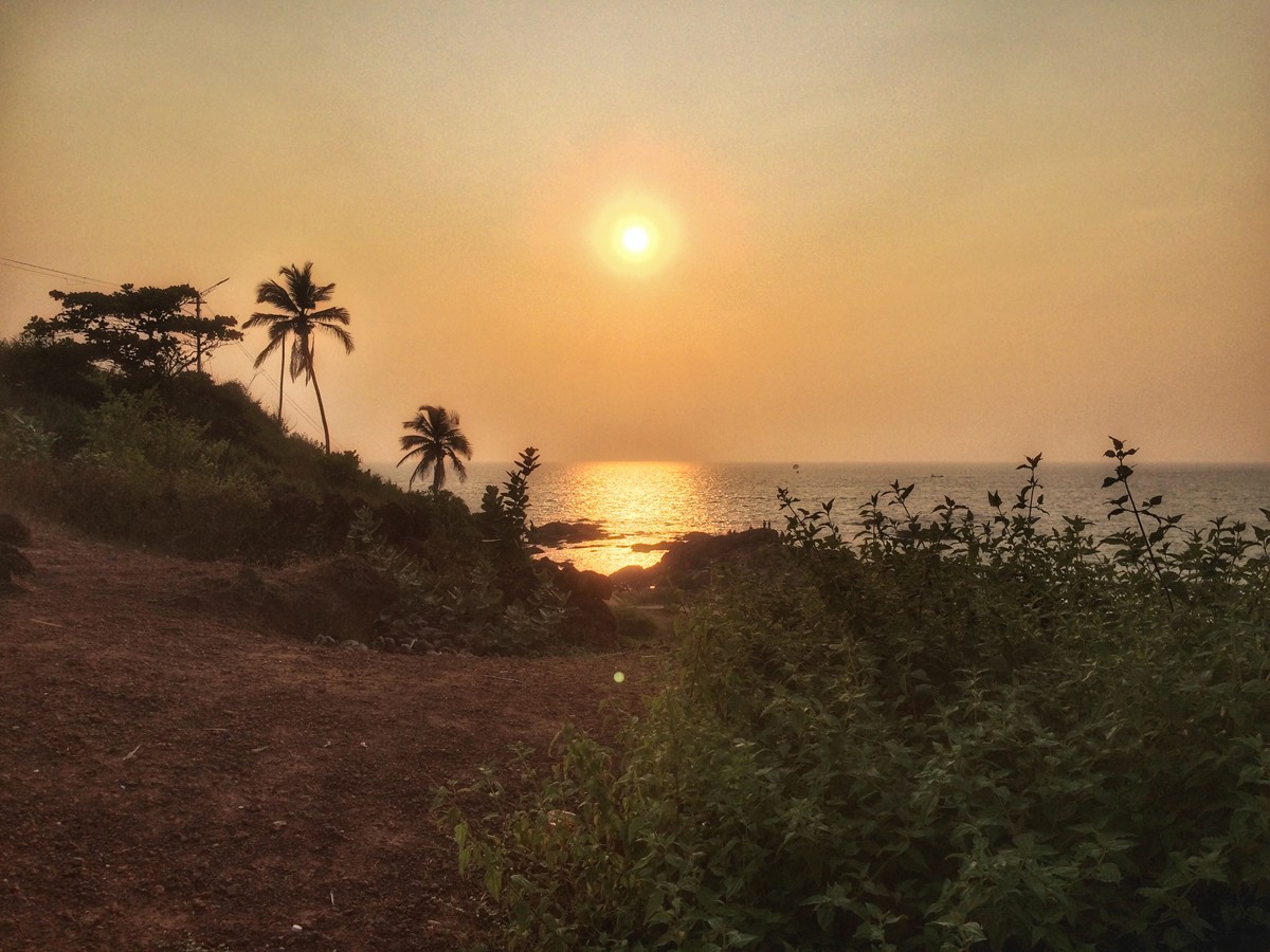 Moi india goa 2018 15