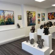 Img 0848