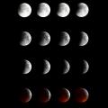 2019 eclipse web