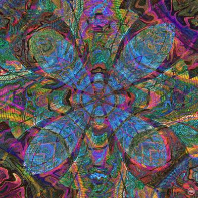 2023 design 172 shop web