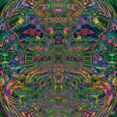 2023 design 177 shop web