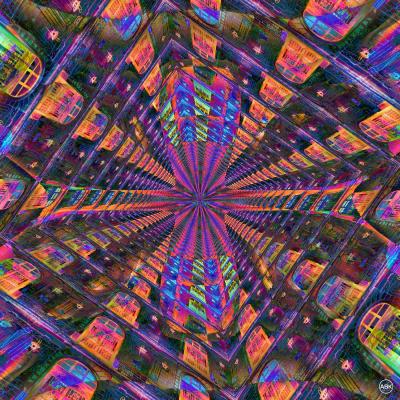 2023 design 338 shop web