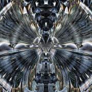 2024 design 442 shop web