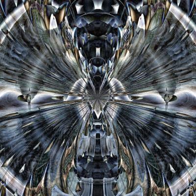 2024 design 442 shop web