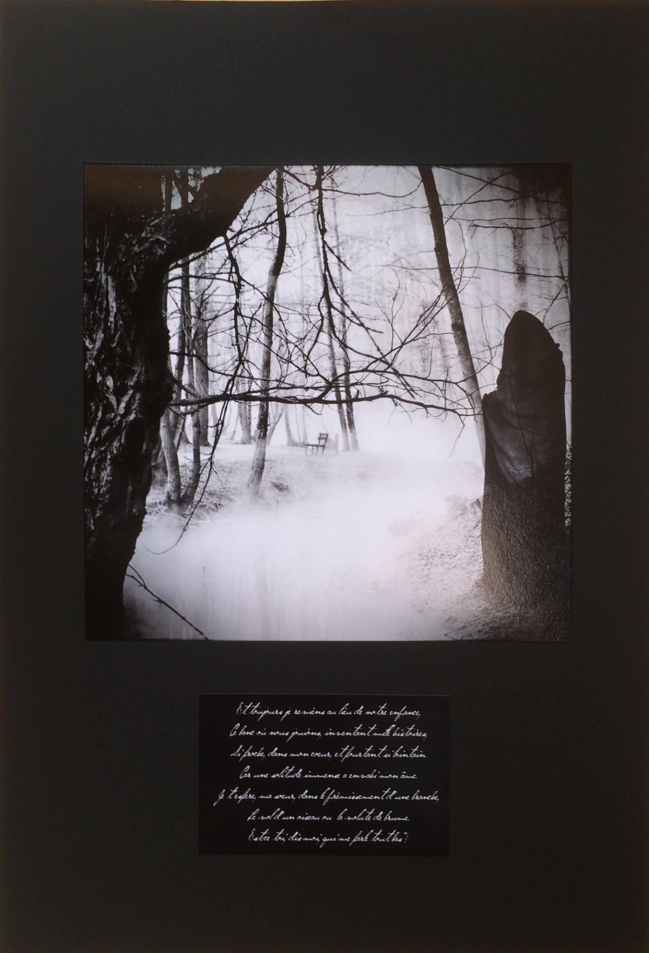 Royaume des ombres